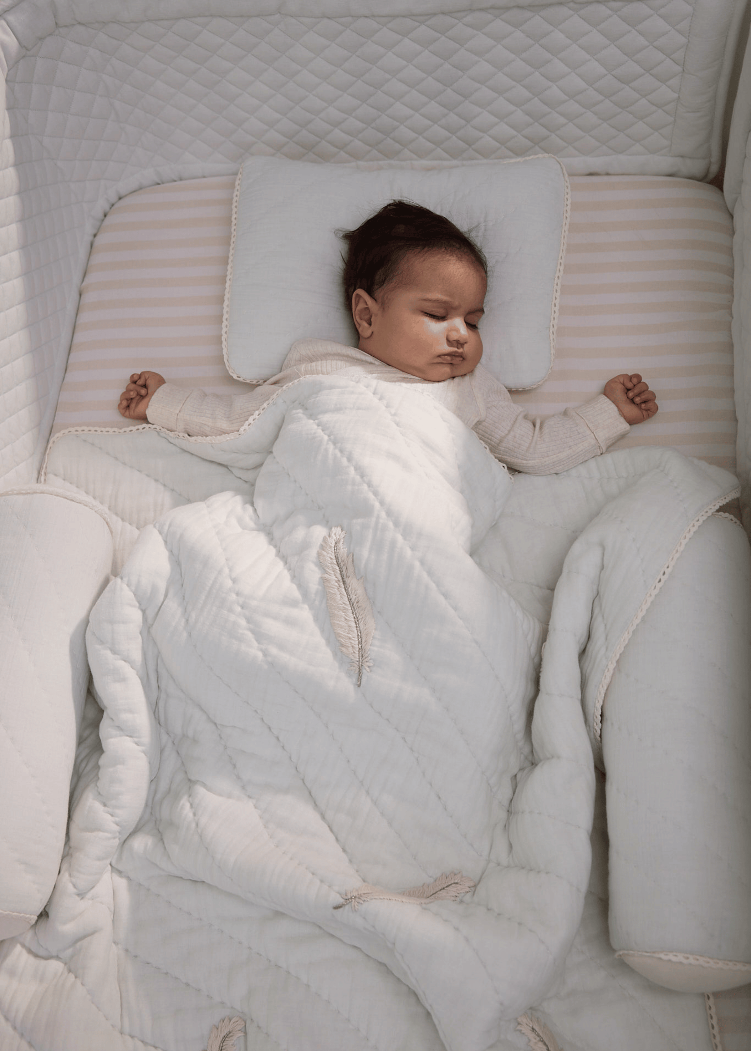 Plume Collection - Baby Jalebi