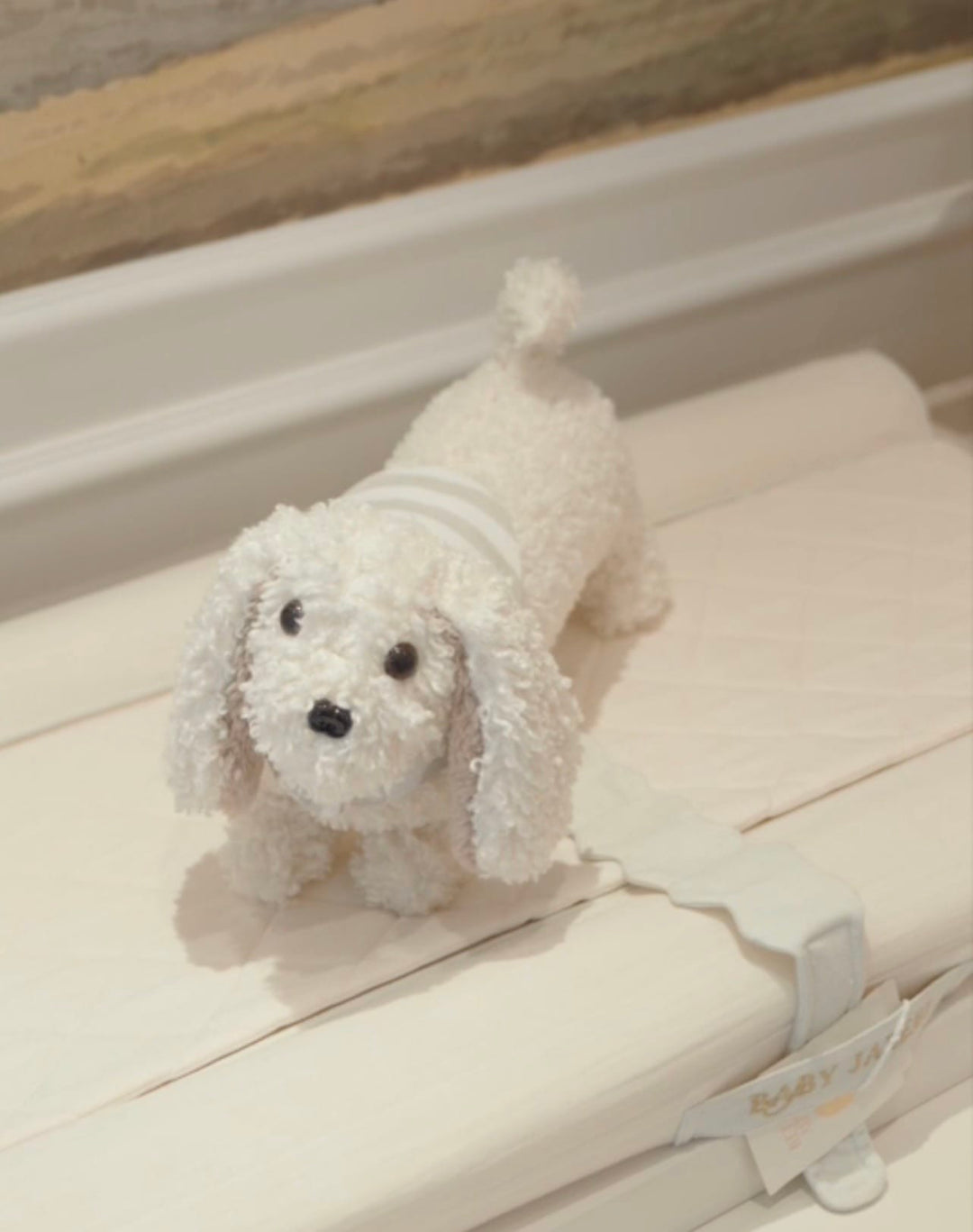 Baby Jalebi Coco the Dog