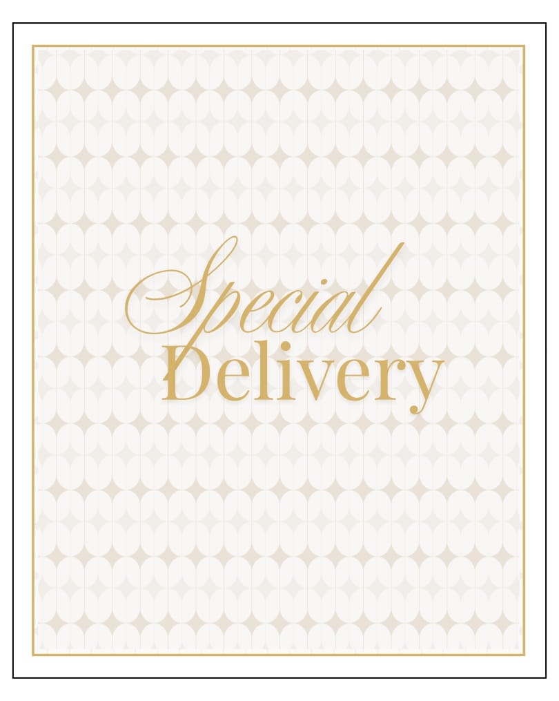 Baby Jalebi Gift Cards Baby Jalebi Special Delivery Gift Card