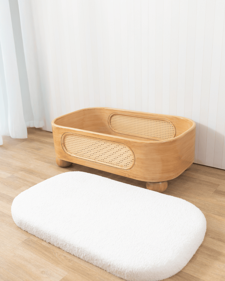 Baby Jalebi Grow with me KIt Grow with me Kit - Nutmeg