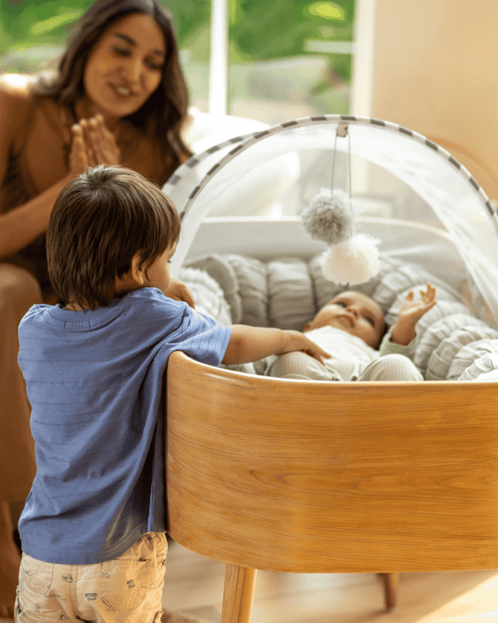 Baby Jalebi The Oasis Bassinet